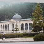 Marienbad, Waldquelle, leidi ja koira, vanha väripk, ei p. - pikkukuva 1