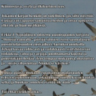 Erkki J. Vepsäläinen: Muuttolinnut - pikkukuva 3