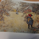 Muistoja, kuvia Carl Larssonin maailmasta - Tammi 2012 - pikkukuva 4