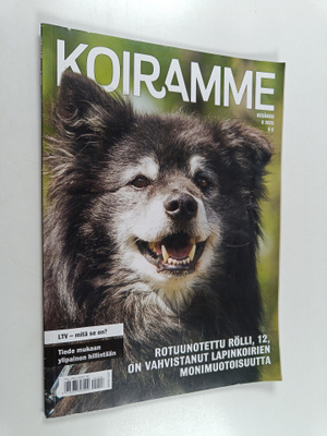 Koiramme 6/2025