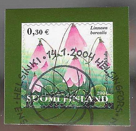 2004 VANAMO FDC LEIMALLA HYVÄ KOKONAISUUS