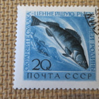 CCCP 1960: merielämää - pikkukuva 3