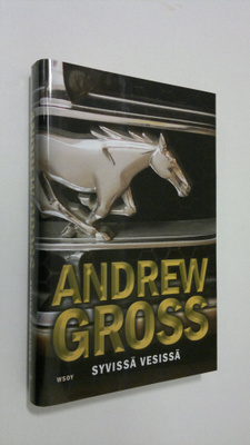 Andrew Gross : Syvissä vesissä
