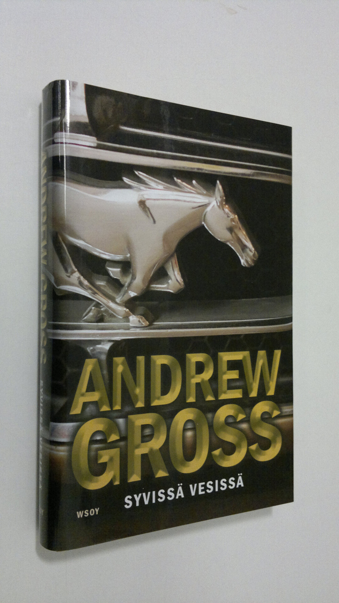 Andrew Gross : Syvissä vesissä