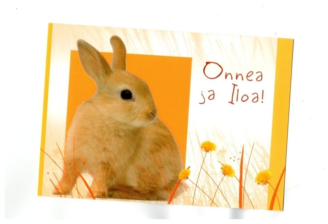 PIKKU JÄNIS ...°°ONNEA JA ILOA!° -KORTTI /Papron