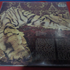 ROY HARPER - FLAT BAROQUE AND BERSERK EX-/EX+ LP - pikkukuva 2
