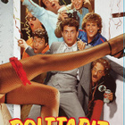 Polttarit - DVD - pikkukuva 1