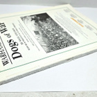 WHFB - Dogs of War Supplement (5th Edition, 1998) - pikkukuva 3