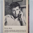 Norman Mailer : Hirvipuisto - pikkukuva 2