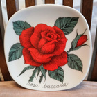 Arabia, Esteri Tomula, Rosa Rosa baccara - pikkukuva 2