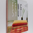 Stephen Skinner : Kodin feng shui - pikkukuva 1