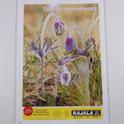 Tunnelma : teemanäyttely 2011 - pikkukuva 2
