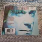 Iggy Pop-Brick By Brick - pikkukuva 2