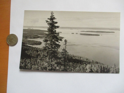 Koli -1957 rivil Yläkoli