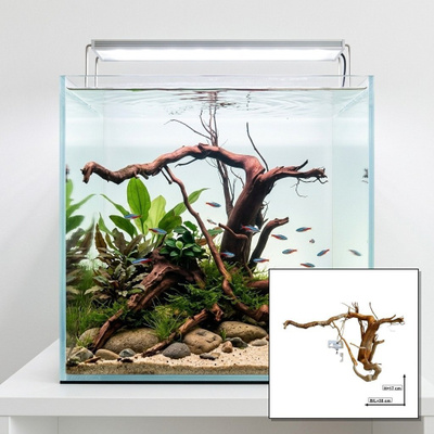 Uniikki akvaariojuurakko 30 cm | nr79