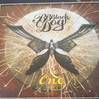 BB Black Dog: No One cd - steampunk rock - pikkukuva 1