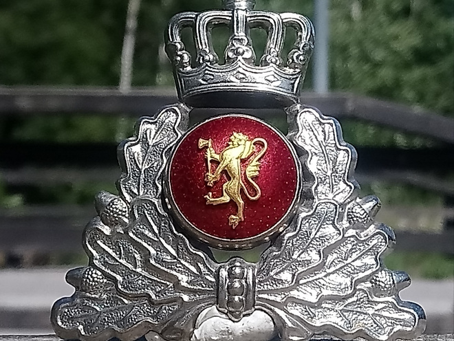 Norjalainen Kokardi. Ehjät piikit. Halkaisija - 76 mm. Kooka