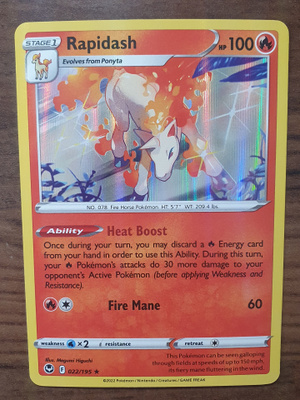 Pokemon Rapidash 022/195 Holo rare
