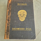 Anatomie (kuv. 1896) - pikkukuva 1