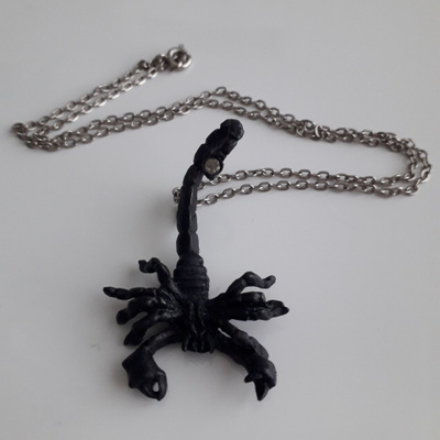 Skorpioni koru