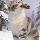 Kissalla käpy suussa - pikkukuva 1
