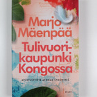 Marjo Mäenpää : Tulivuorikaupunki Kongossa - pikkukuva 1