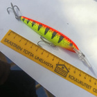 Rapala Barra Magnum - pikkukuva 1