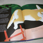 Arvola - Arvola - Partanen Liikaa herkkuja Haukkumaassa - pikkukuva 3