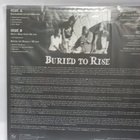 TOXEMIA - BURIED TO RISE M-/M- 2LP - pikkukuva 2