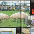 YV n:o 9 1987 Anu Pentik. Kangasala. Huutokauppa. Tapio Junn - pikkukuva 5