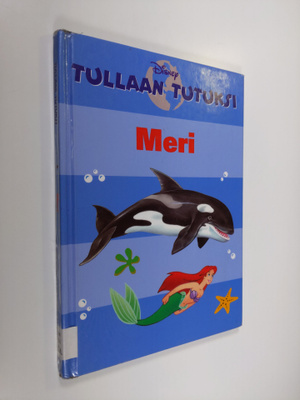 Peter Jepsen : Tullaan tutuksi : Meri