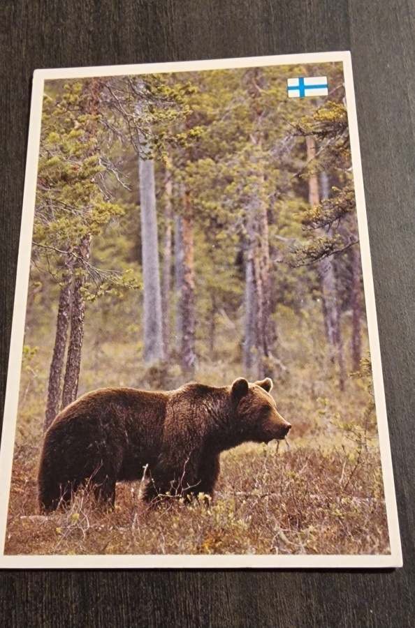Karhu, eläinkortti, kulkenut postikortti