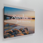 Anita Shenoi : Sweden - Just Amazing! - Putting Ideas and... - pikkukuva 1