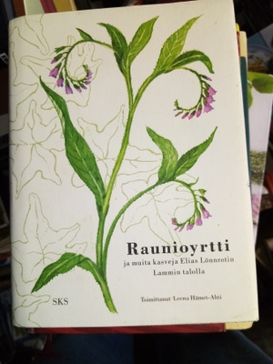 HÄMET-AHTI :  RAUNIOYRTTI ( SIS POSTIKULU  )