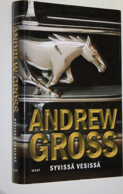 Andrew Gross : Syvissä vesissä