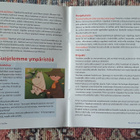 Dvd: Muumien Malliin - pikkukuva 3