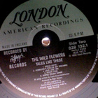 WILD FLOWERS :: TALES LIKE THESE :: VINYYLI LP 1990 - pikkukuva 4