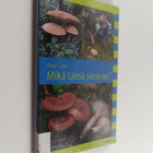 Mauri Lahti : Mikä tämä sieni on - pikkukuva 1