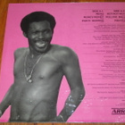 ARROW - Hot Hot Hot - LP soca Jamaica 1982 MINT - pikkukuva 2