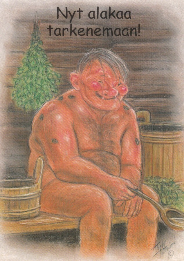 TERHO PELTONIEMI - ISÄNTÄ SAUNASSA