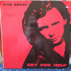 RICK ASTLEY - CRY FOR HELP 12" VINYL - pikkukuva 1