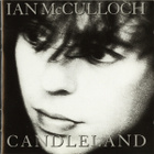 ECHO & THE BUNNYMEN/ IAN McCULLOCH: 4 x cd - pikkukuva 3