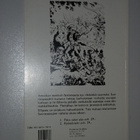 Elfquest 1: Pako tulen alta (Jalava, 1.p. 1990) hieno! - pikkukuva 2