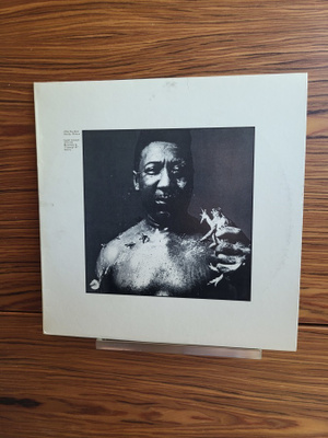 Muddy Waters - After The Rain