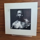 Muddy Waters - After The Rain - pikkukuva 1