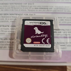 Kaksi Nintendo DS peliä kympillä - pikkukuva 5