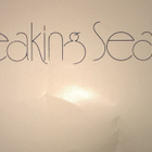 JULISTE LEAKING SEA - pikkukuva 4