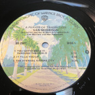 Van Morrison - A period of transition LP - pikkukuva 3