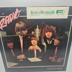The Radio – Radiowave LP - pikkukuva 1