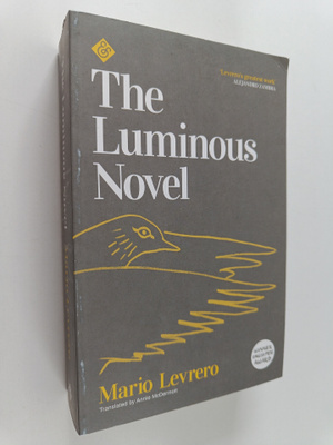 The Luminous Novel